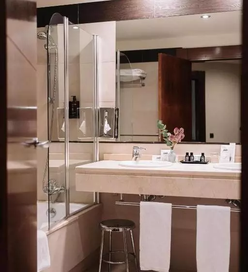 Fotos del hotel Palacio De Aviles Affiliated By Melia:  11