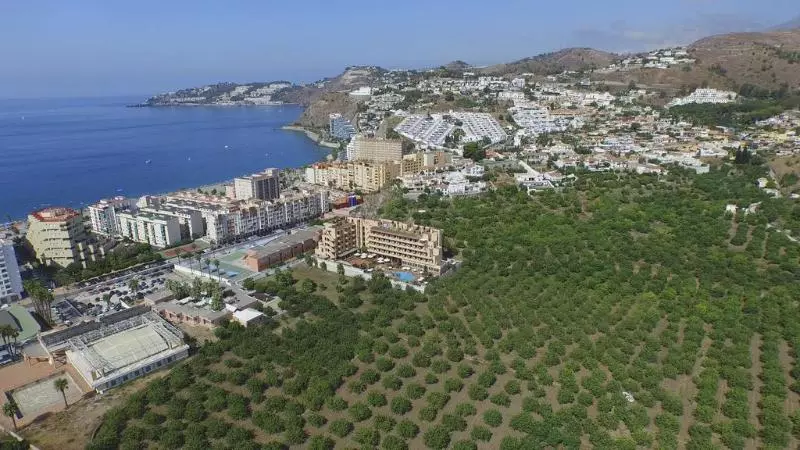 Fotos del hotel Victoria Playa:  9