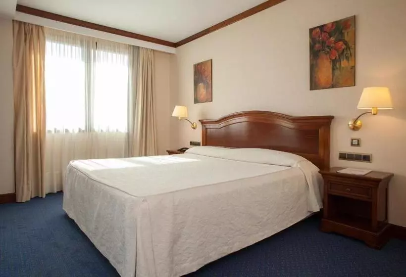 Fotos del hotel Villa De Almazan:  12