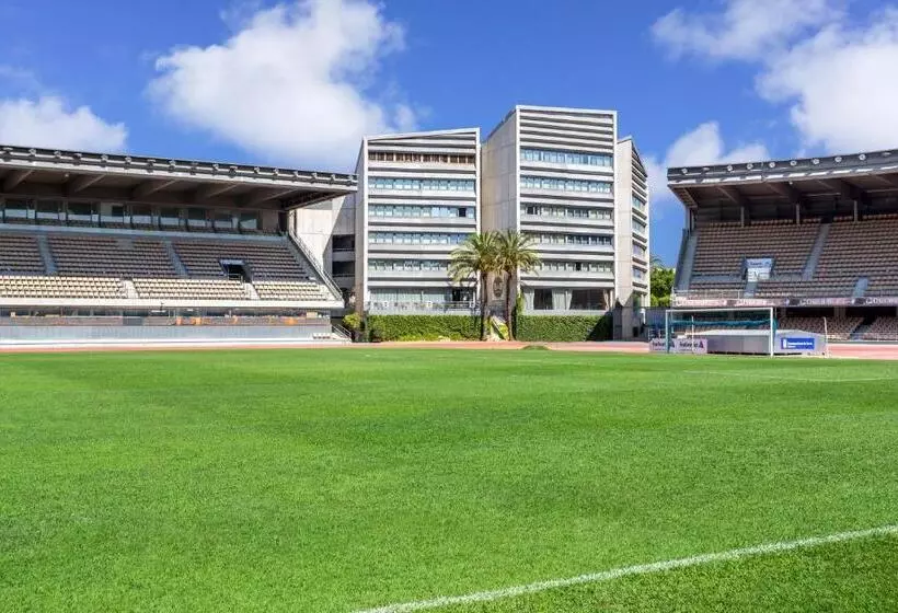 Fotos del hotel B&b  Jerez:  4