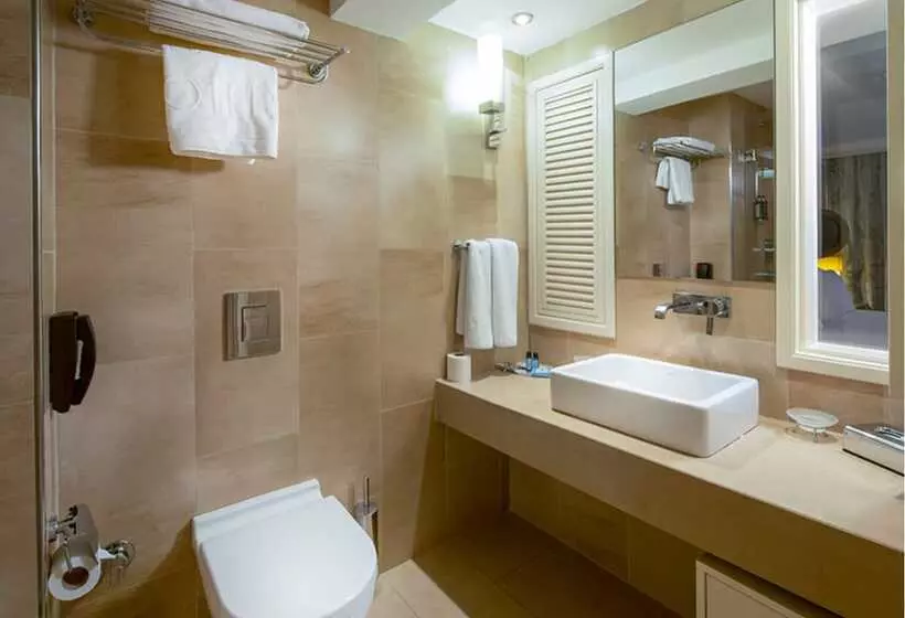 Fotos del hotel Titanic Comfort Sisli:  62