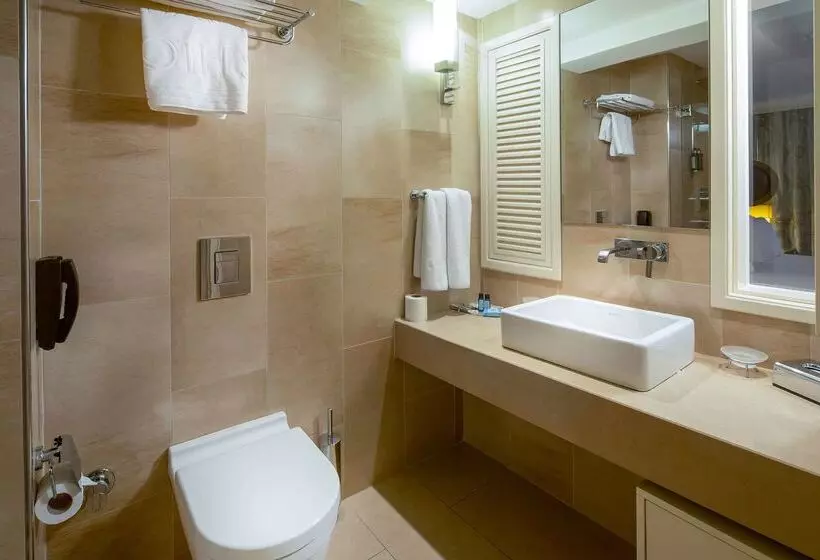 Fotos del hotel Titanic Comfort Sisli:  56