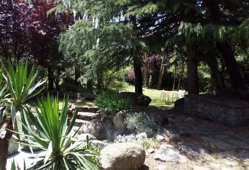 Fotos del hotel Vallibierna:  19