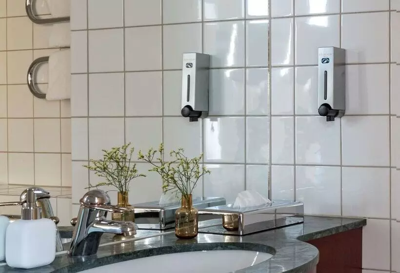 Fotos del hotel First Hotel Millennium:  5