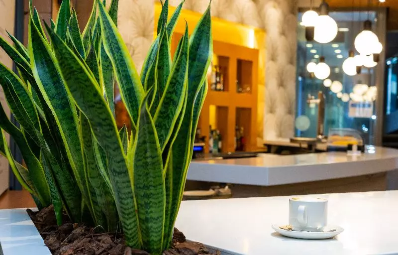 Fotos del hotel Palacio De Aiete:  25