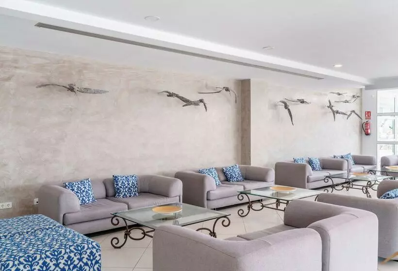 Fotos del hotel Alua Gran Camp de Mar:  13