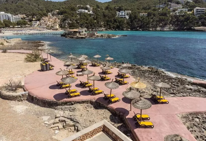 Fotos del hotel Alua Gran Camp de Mar:  11