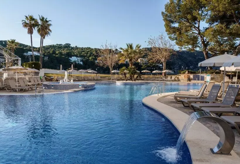 Fotos del hotel Alua Gran Camp de Mar:  23