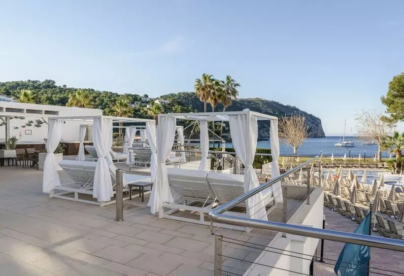 Fotos del hotel Alua Gran Camp de Mar:  10