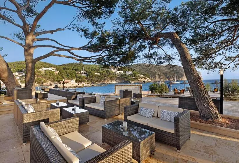 Fotos del hotel Alua Gran Camp de Mar:  18