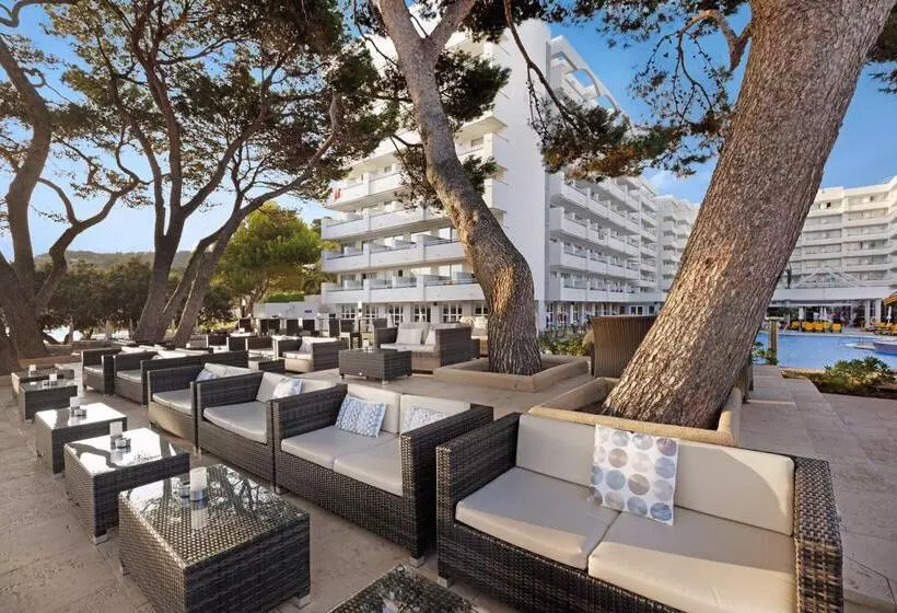 Fotos del hotel Alua Gran Camp de Mar:  22