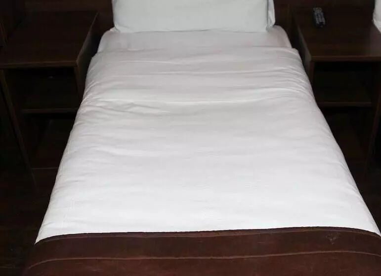 Fotos del hotel Ascot Hyde Park:  25