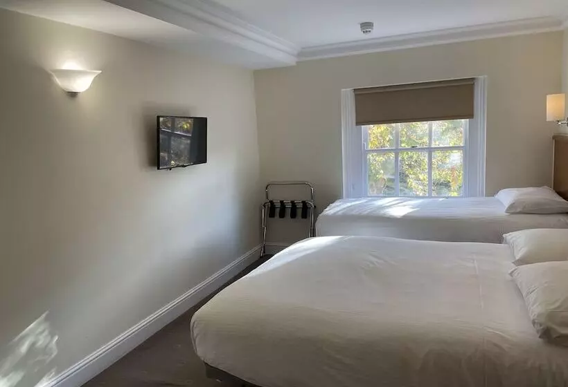 Fotos del hotel Orchard:  25