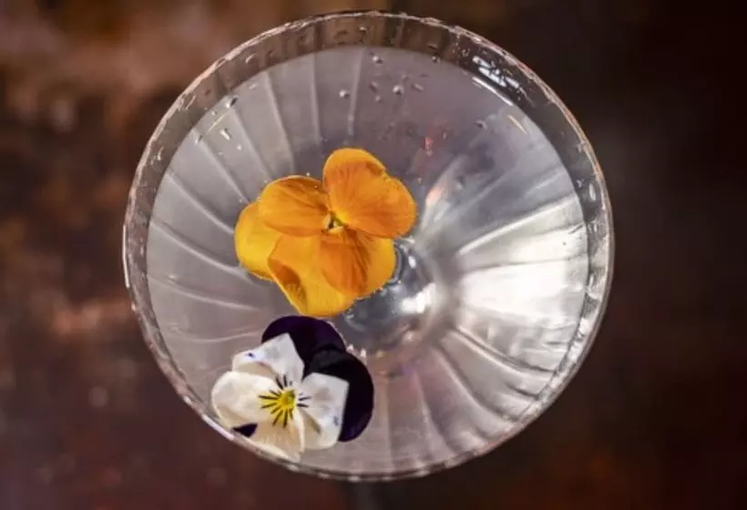 Fotos del hotel The Spencer Hotel:  19