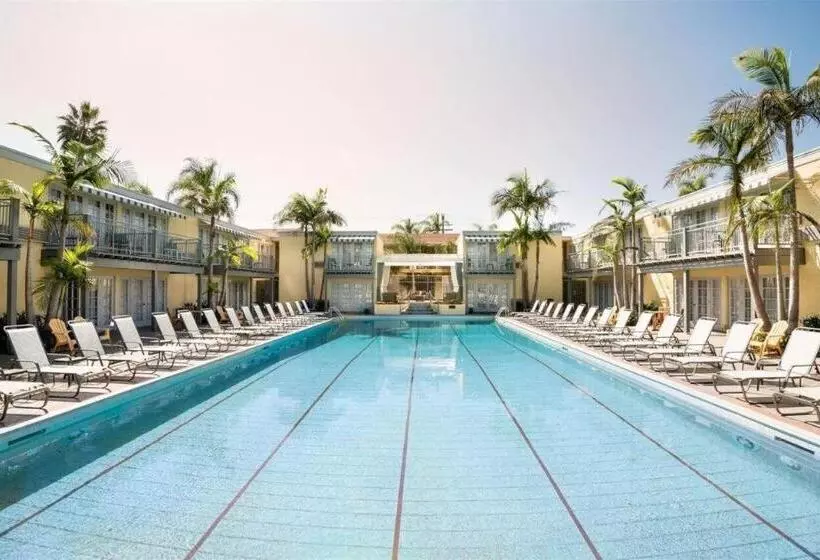 Fotos del hotel The Lafayette Hotel, Swim Club & Bungalows:  3