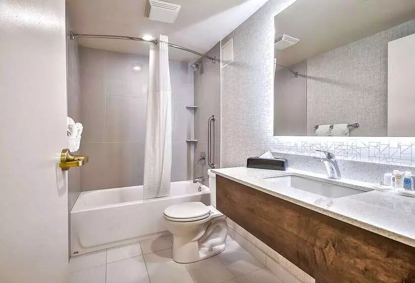 Fotos del hotel Comfort Inn And Suites South:  8