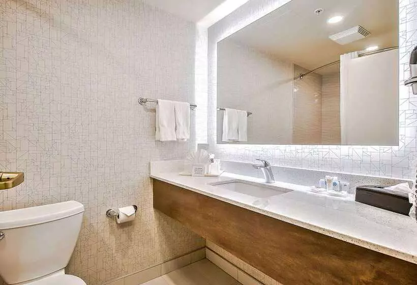 Fotos del hotel Comfort Inn And Suites South:  6