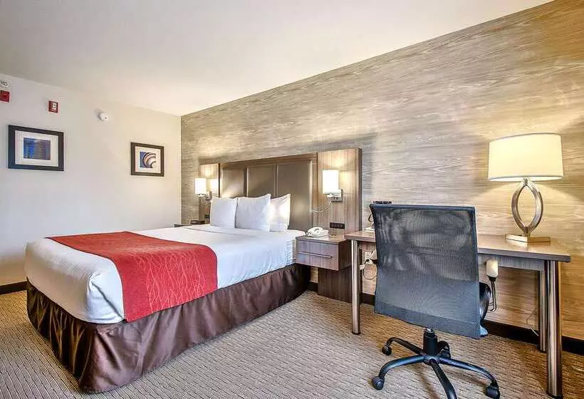 Fotos del hotel Comfort Inn And Suites South:  13