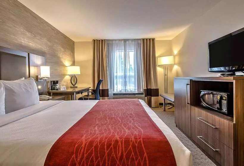 Fotos del hotel Comfort Inn And Suites South:  21