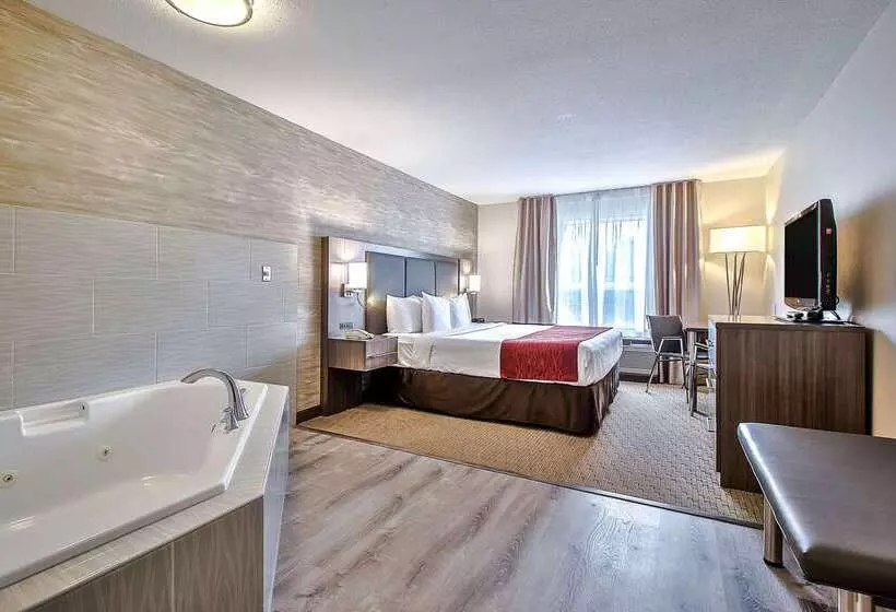 Fotos del hotel Comfort Inn And Suites South:  17