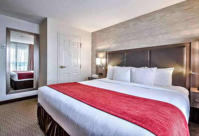 Fotos del hotel Comfort Inn And Suites South:  15