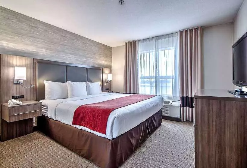 Fotos del hotel Comfort Inn And Suites South:  18