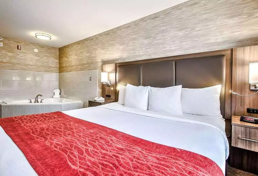 Fotos del hotel Comfort Inn And Suites South:  19