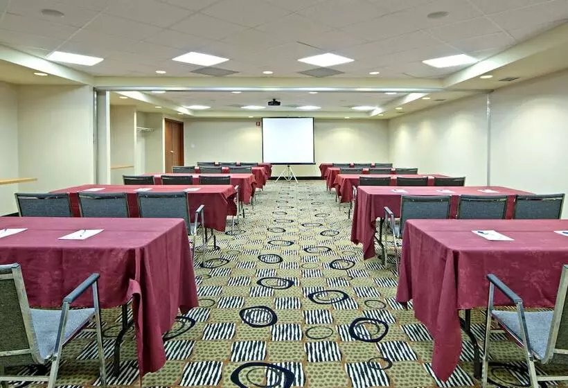 Fotos del hotel Comfort Inn And Suites South:  4