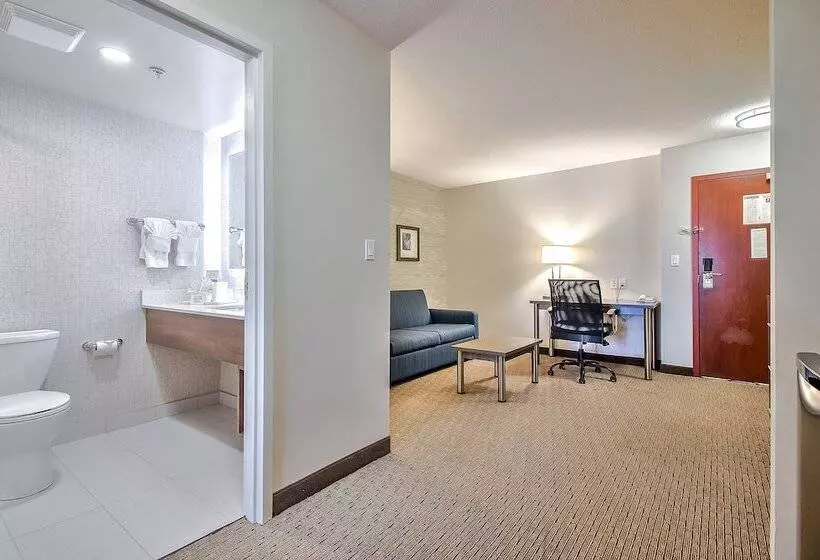 Fotos del hotel Comfort Inn And Suites South:  23