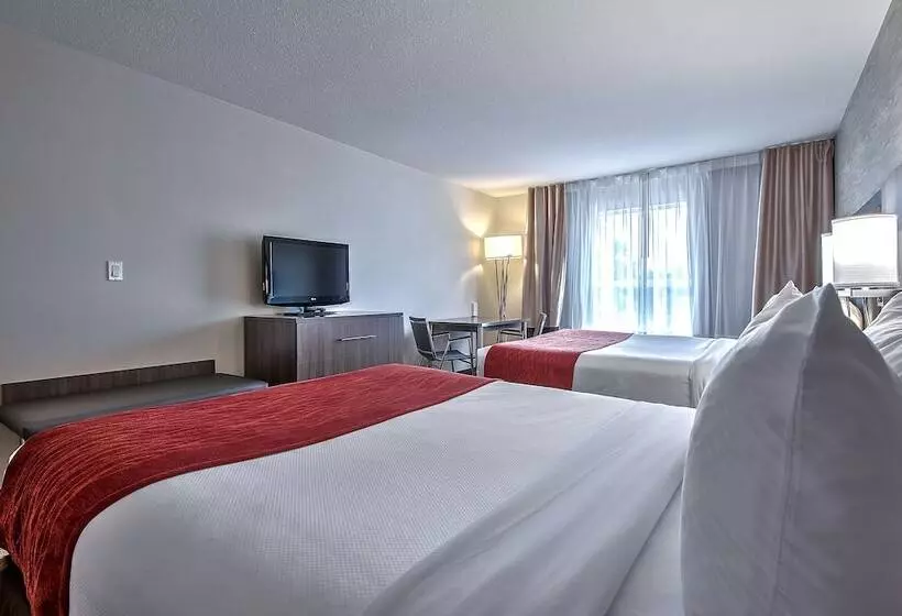 Comfort Inn And Suites South