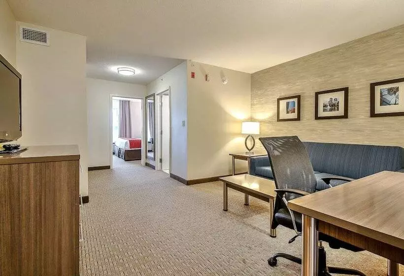 Fotos del hotel Comfort Inn And Suites South:  14