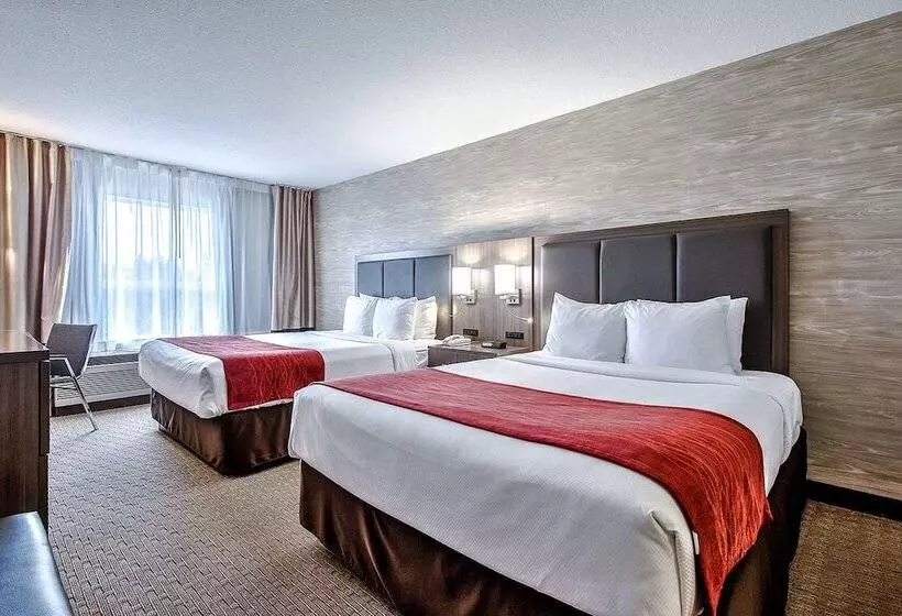 Fotos del hotel Comfort Inn And Suites South:  10