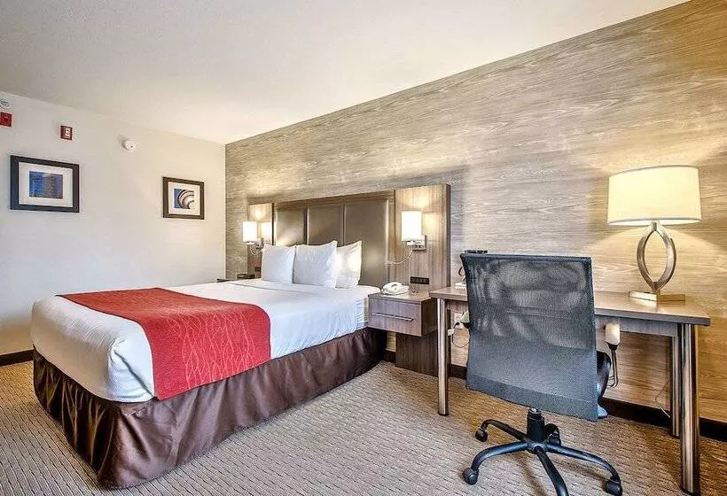 Fotos del hotel Comfort Inn And Suites South:  7