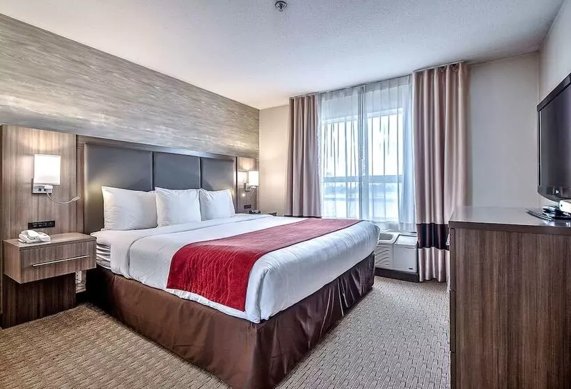 Fotos del hotel Comfort Inn And Suites South:  11