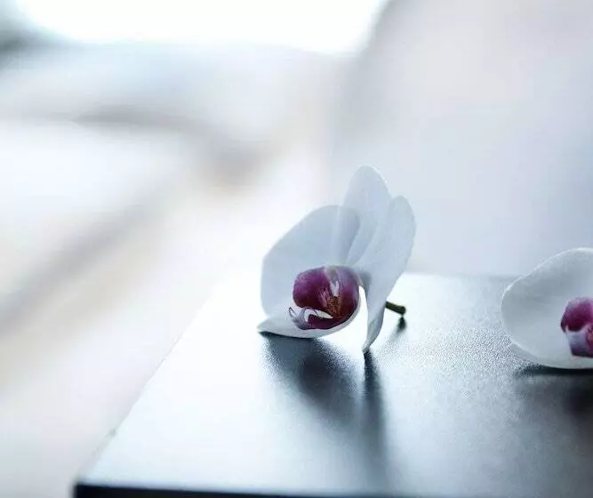 Fotos del hotel New Berlin:  20