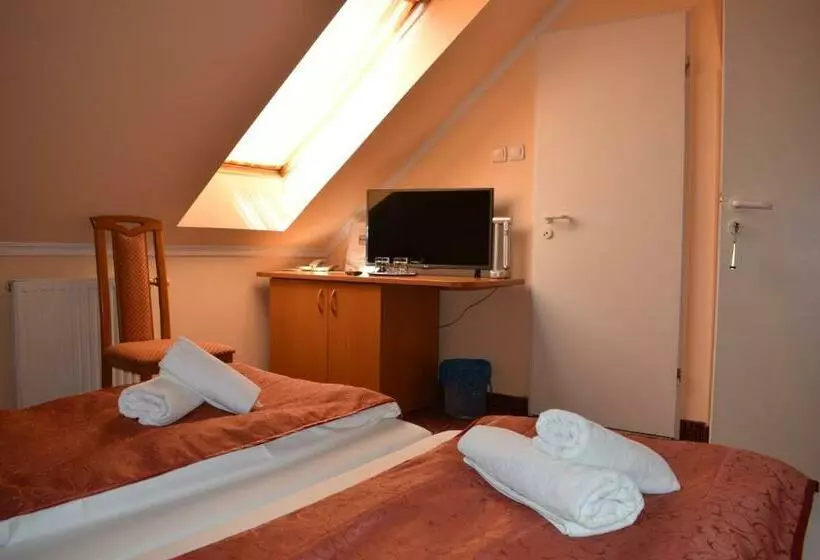 Fotos del hotel Thermál Panzió:  8