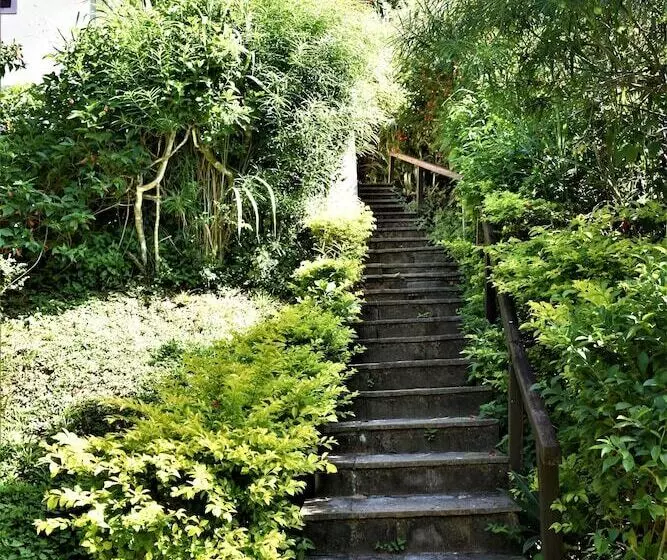 Fotos del hotel Hibiscus Beach:  8