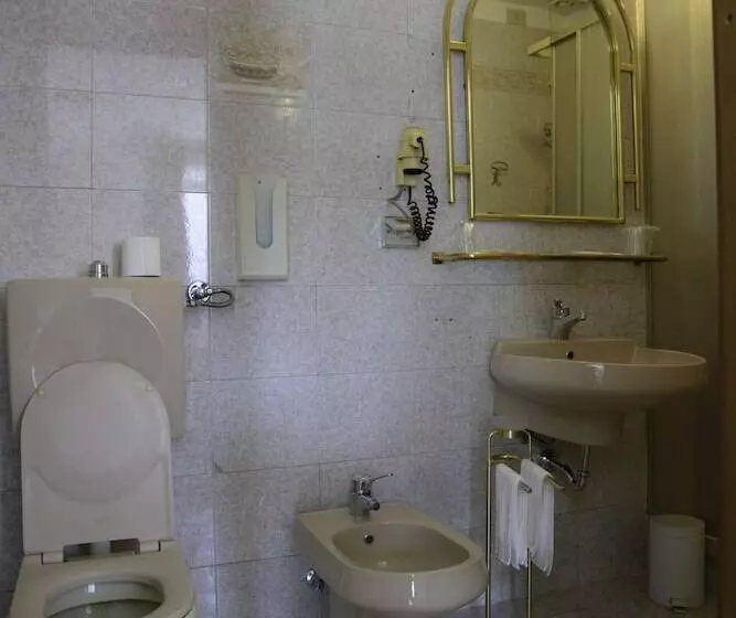 Fotos del hotel Napoleon:  5