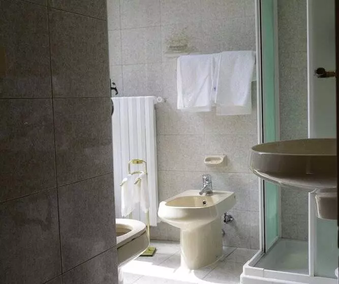 Fotos del hotel Napoleon:  9