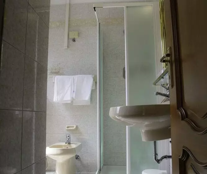 Fotos del hotel Napoleon:  3