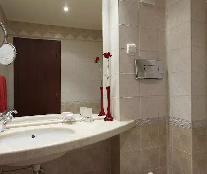 Fotos del hotel Capitol:  16