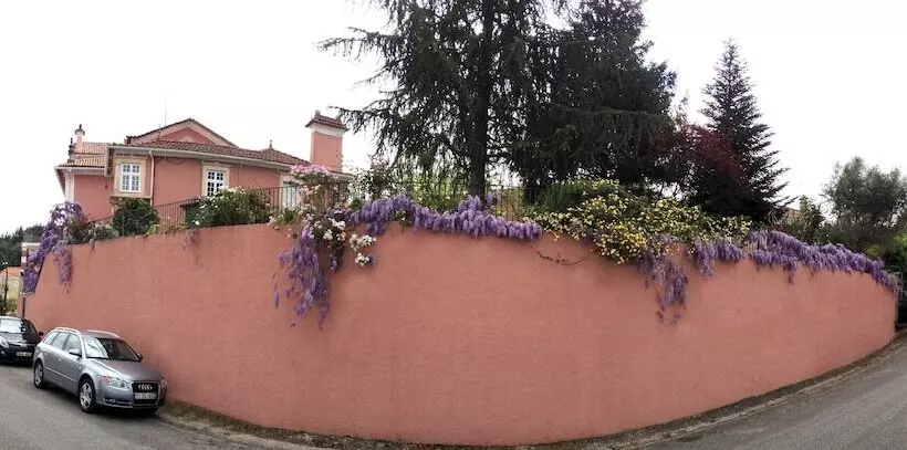 Fotos del hotel Alegre:  7