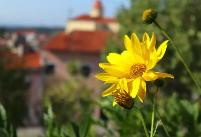 Fotos del hotel Alegre:  20