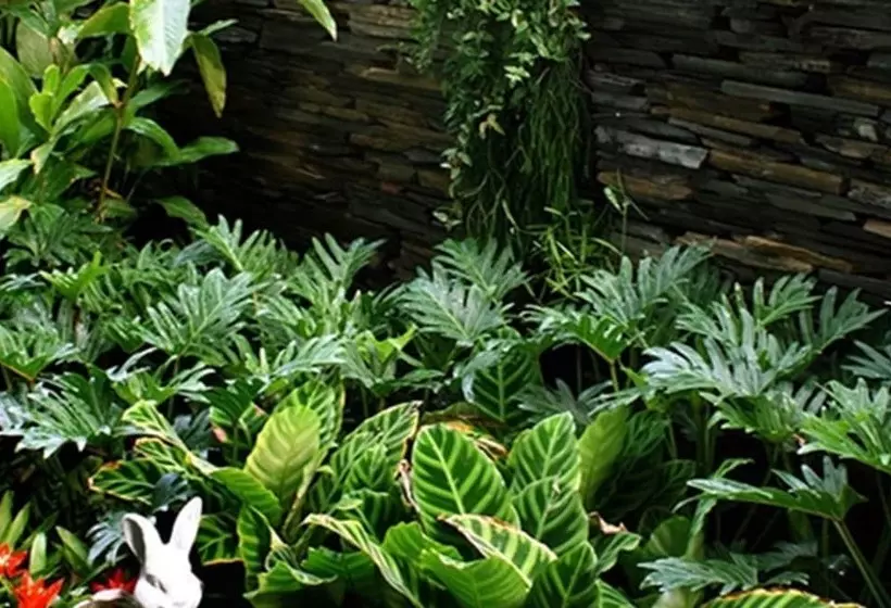 Fotos del hotel St. James Hotel:  12