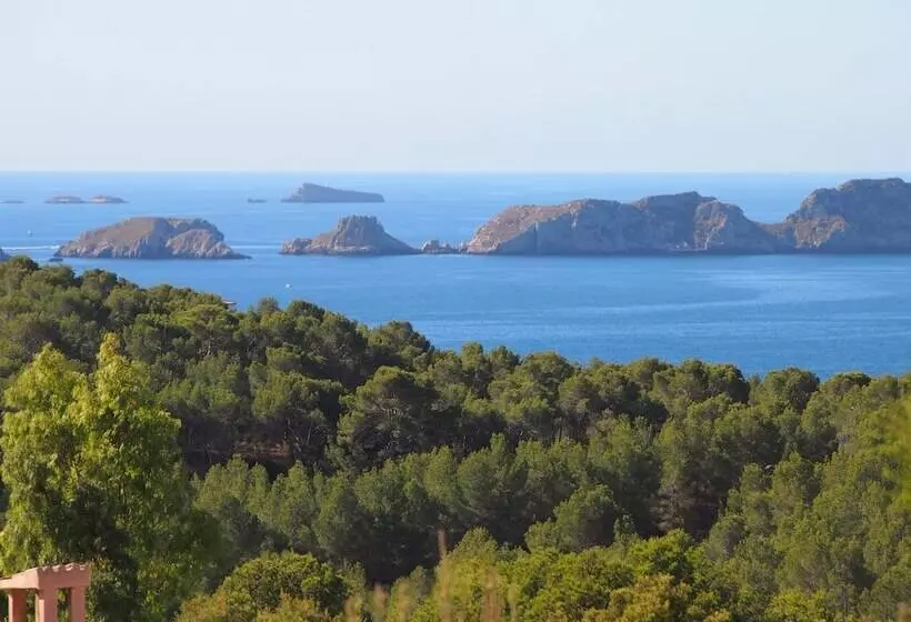 Fotos del hotel Bordoy Don Antonio:  7