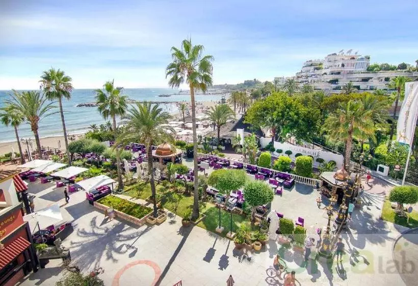 Fotos del hotel Boutique B51:  15