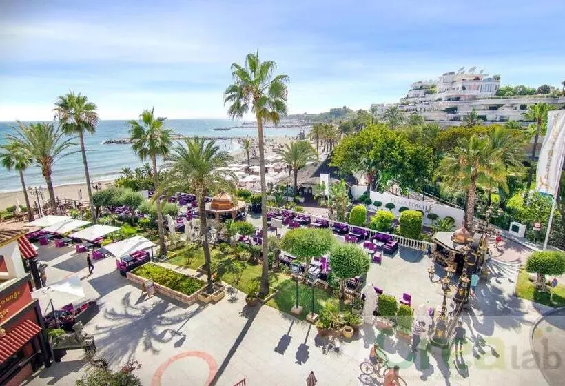 Fotos del hotel Boutique B51:  6