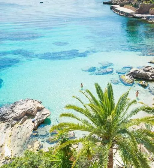 Fotos del hotel Cala Fornells:  12