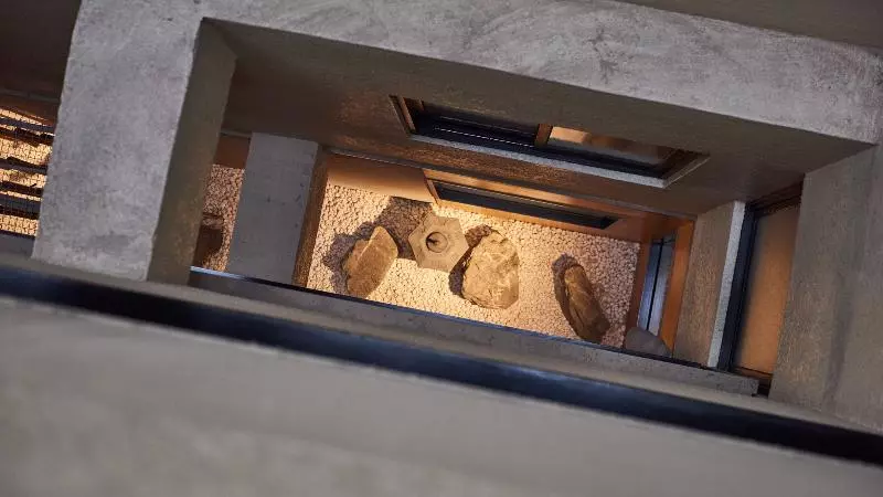 Fotos del hotel Royal Inn Taipei Nanxi - Mrt Zhongshan Station:  14