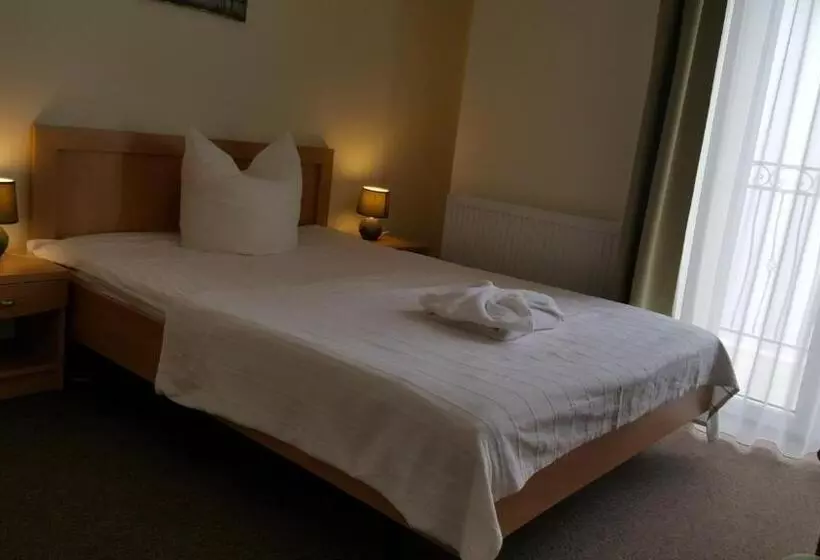 Fotos del hotel Villa Merry Spa&wellness:  4